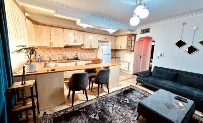 آپارتمان یکخواب در پونک (فکوری)