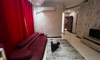 آپارتمان مبله یکخواب جمالزاده(انقلاب)