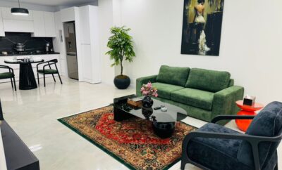 آپارتمان مبله تکخواب لوکس . مطهری (ولیعصر)