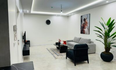 آپارتمان مبله نوساز دو خواب فاطمی (مطهری)