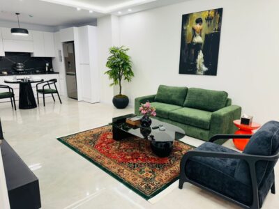 آپارتمان مبله تکخواب شیک ولیعصر(مطهری )